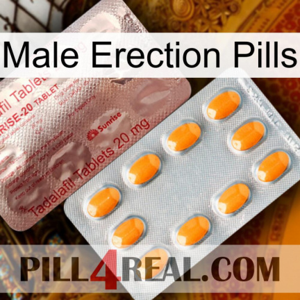 Male Erection Pills new13